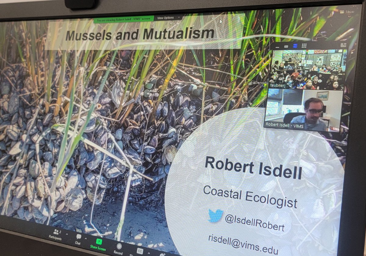 teubnerj's tweet photo. We Skyped a scientist today! Thank you, @IsdellRobert! Our students enjoyed your presentation,  especially learning about your research and marsh ecosystem in Chesapeake Bay.
@MrCondit @MissKirbyClass @mrschokanmath5 https://t.co/WiqVPgZBAx