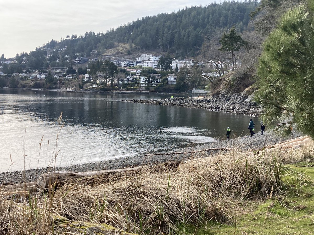 Spending a day by the sea on Vancouver Island