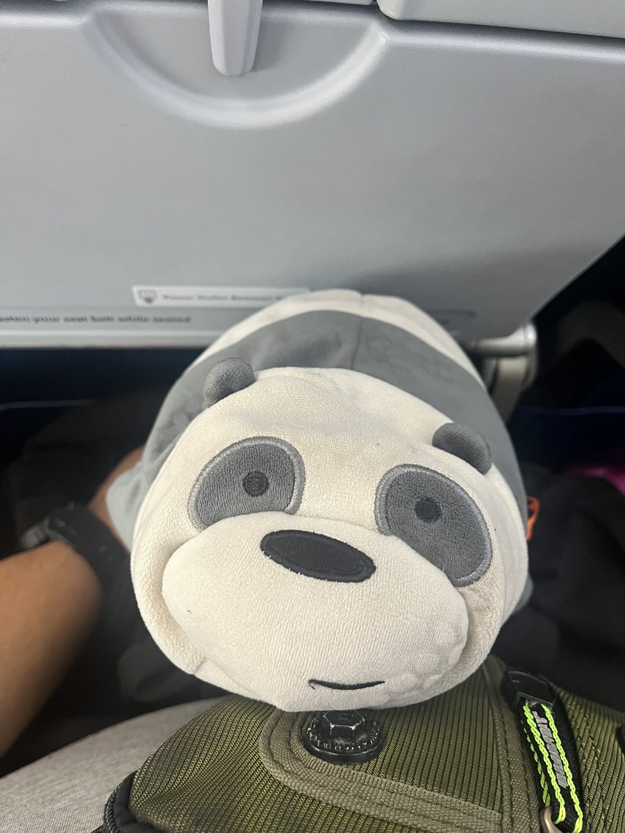 thefluffymallow's tweet photo. Alright the #paxpanda and I are now onboard and ready to fly to Boston see you soon #PAXEast https://t.co/ToPWIqcBy7