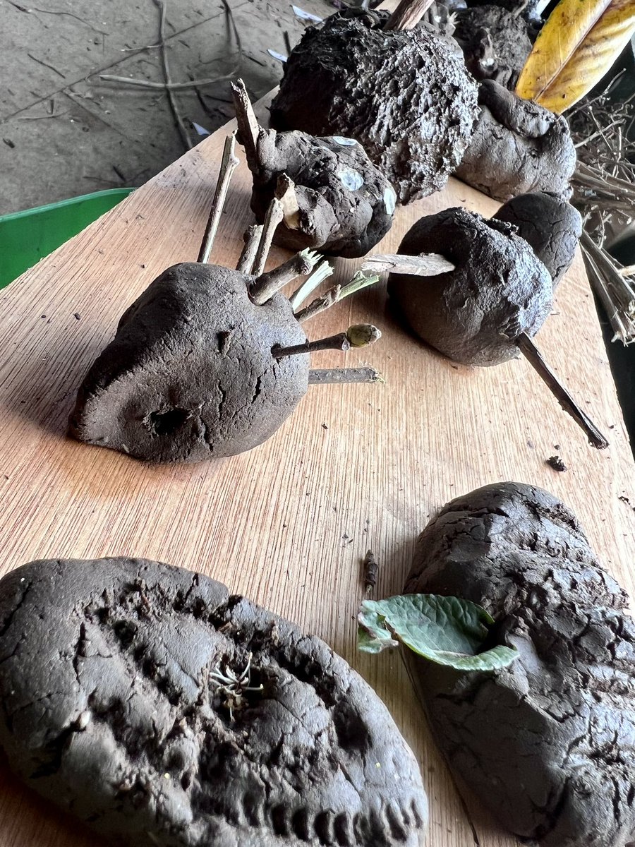 GreenparkKL's tweet photo. Packham class shared this inspiring story today as part of their forest school adventures @nicolakidsbooks before making their wild flower seed mud sculptures 💚 #planting #allotment #learningoutdoors #internationaldayofforests #Year3 https://t.co/jT9LGiMAPX