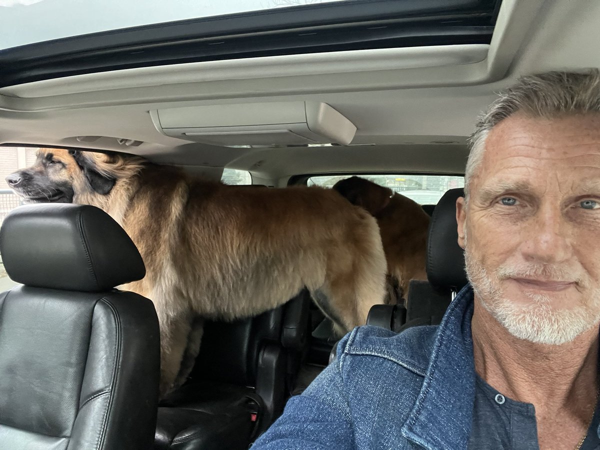 Leo Rautins tweet media