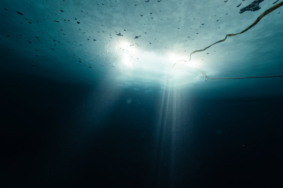 Asclepios Mission tweet media