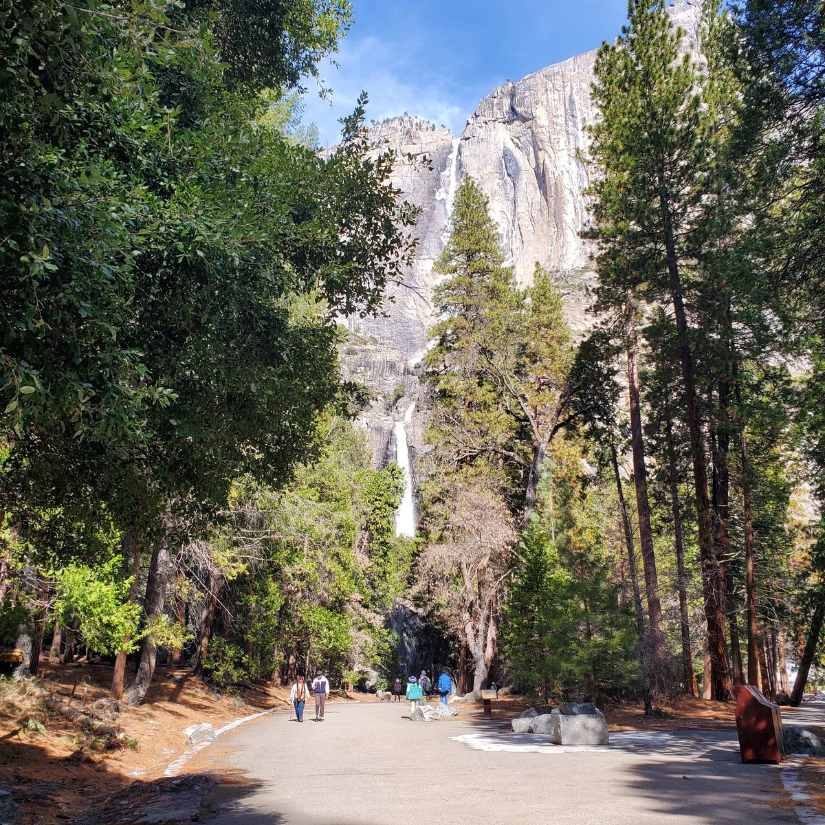 katydidscribe's tweet photo. Earlier this year when it wasn't snowed out at Yosemite... https://t.co/5mEJcK7Lxa