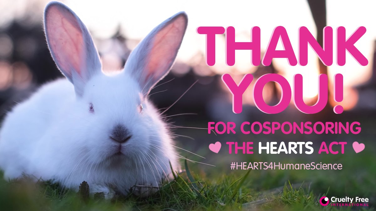 CrueltyFreeUSA's tweet photo. Thank you @RepMalliotakis for cosponsoring the Humane and Existing Alternatives in Research and Testing Sciences Act. HR 1024. To accelerate the use of non-animal alternatives in taxpayer funded research.  #HEARTS4HumaneScience https://t.co/5xPFpaHg1d