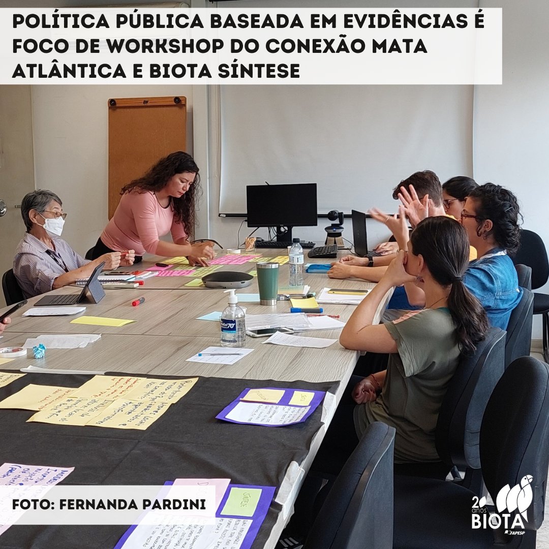 Workshop discute como aproveitar #conhecimentoscientíficos e práticos para embasar #políticas estaduais de #restauração ecológica e de pagamento por #serviçosambientais

Conheça os detalhes no texto de Fernanda Pardini: biota.org.br/politica-publi…

#ProgramaBiota #Fapesp