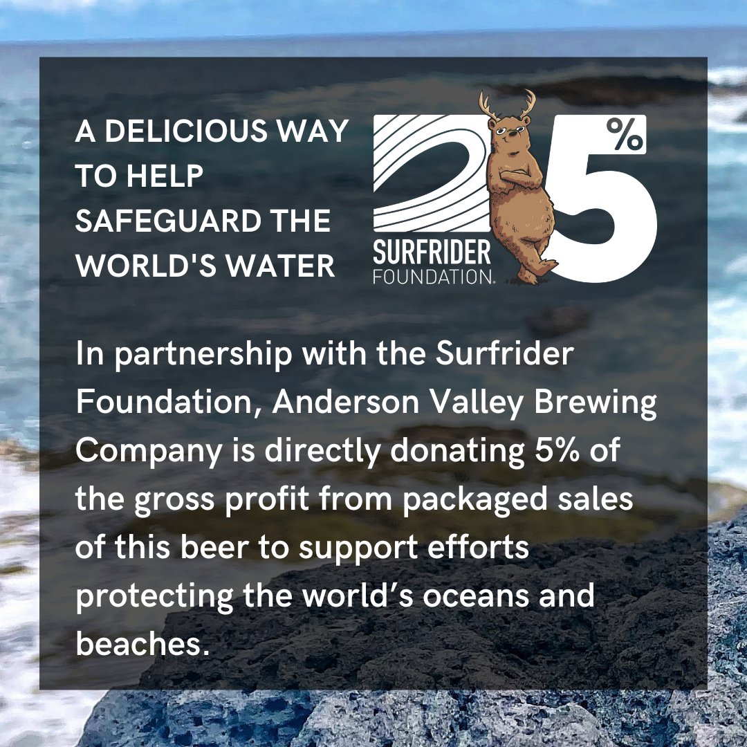 Surfrider Foundation tweet media