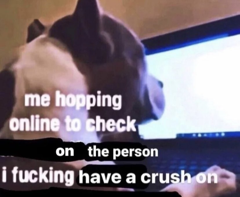 ✧ (@northstardoll) on Twitter photo 