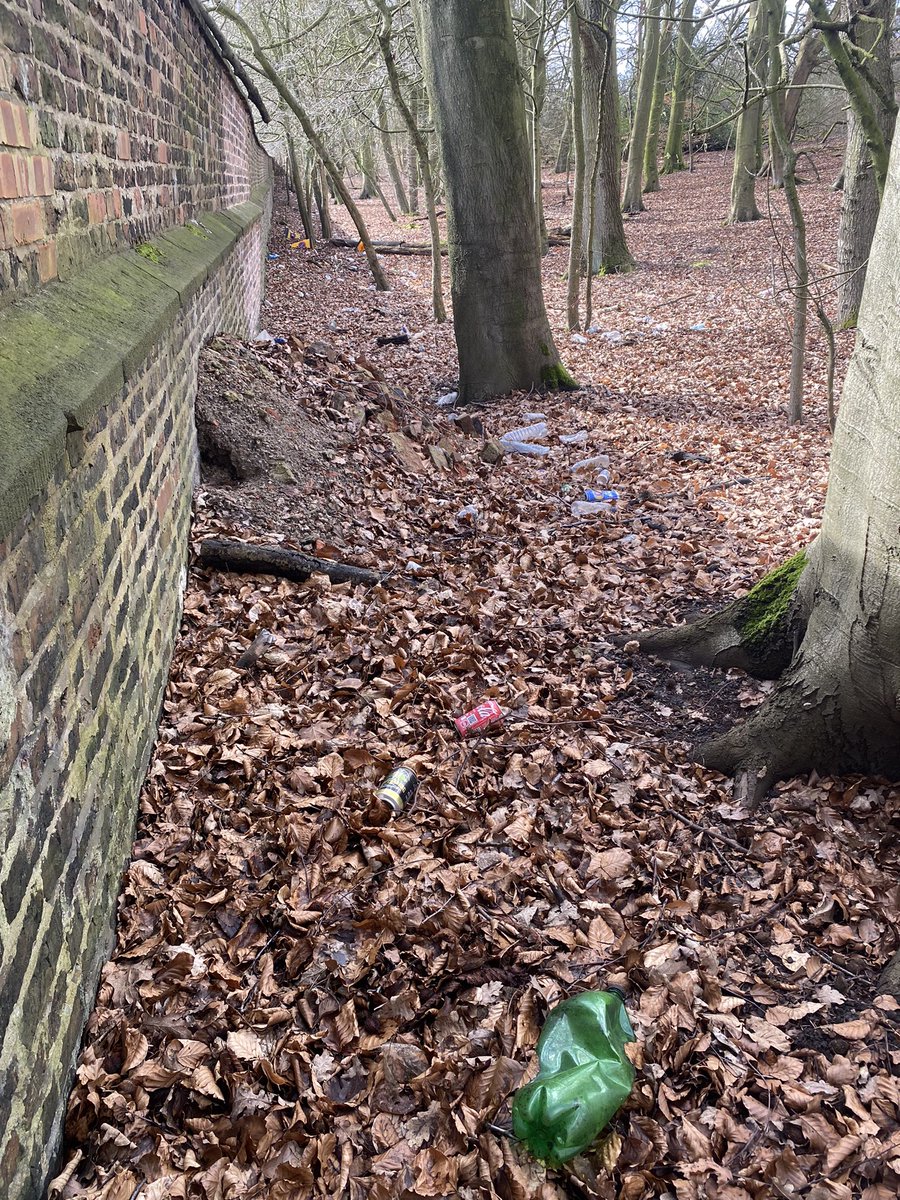 Michelle Teat / Vernon ™ ♥ tweet media