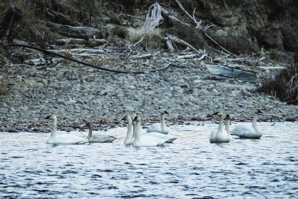 Tri County EDD tweet media