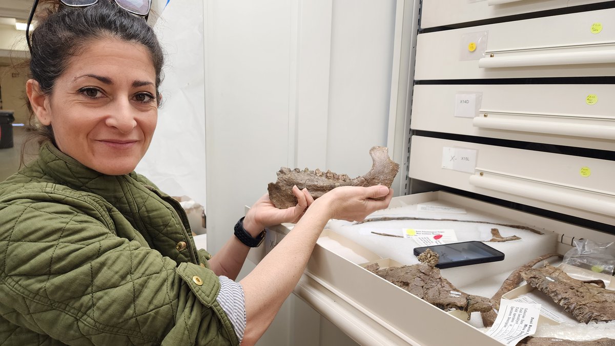 AZ Museum of Natural History tweet media