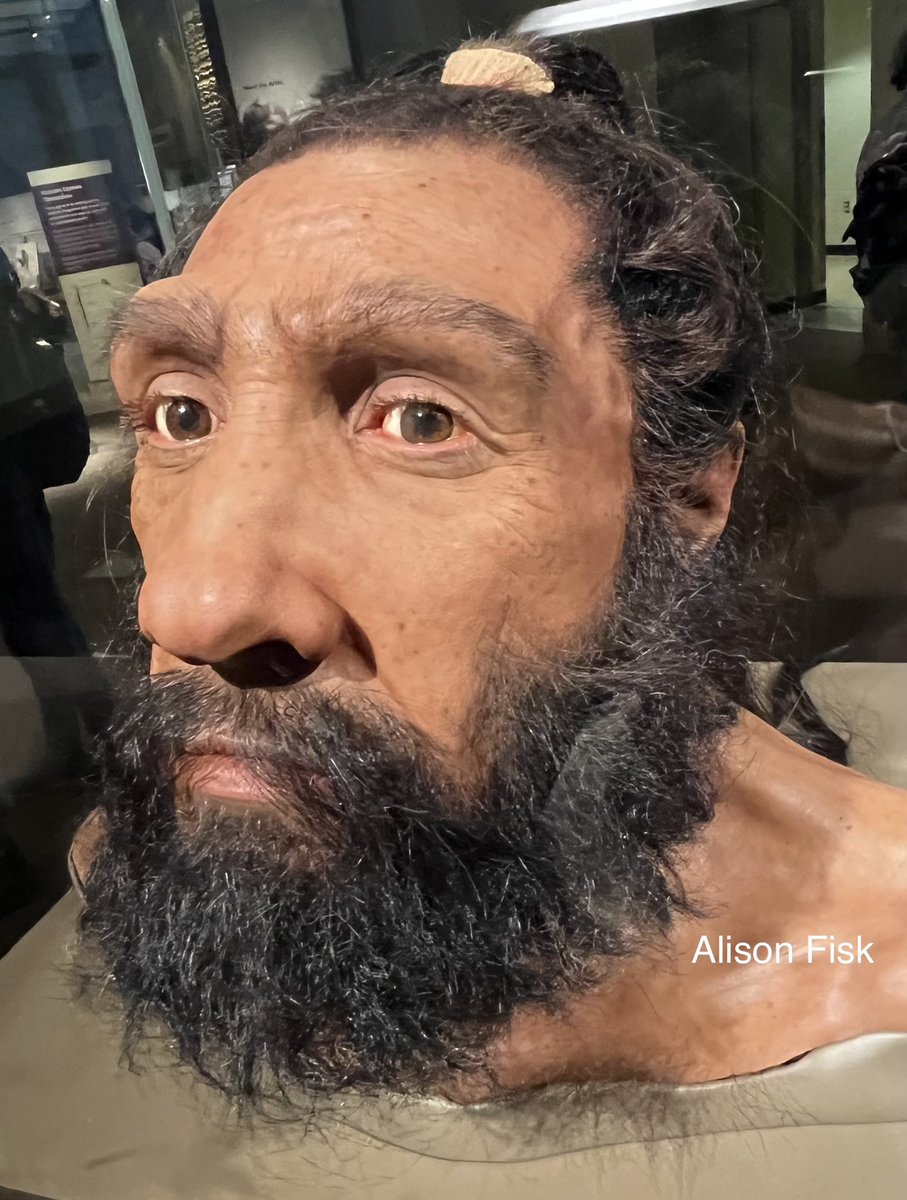 Alison Fisk tweet media