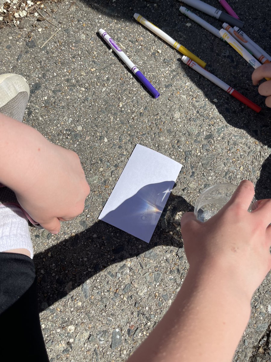 Sarah Dutoi tweet media