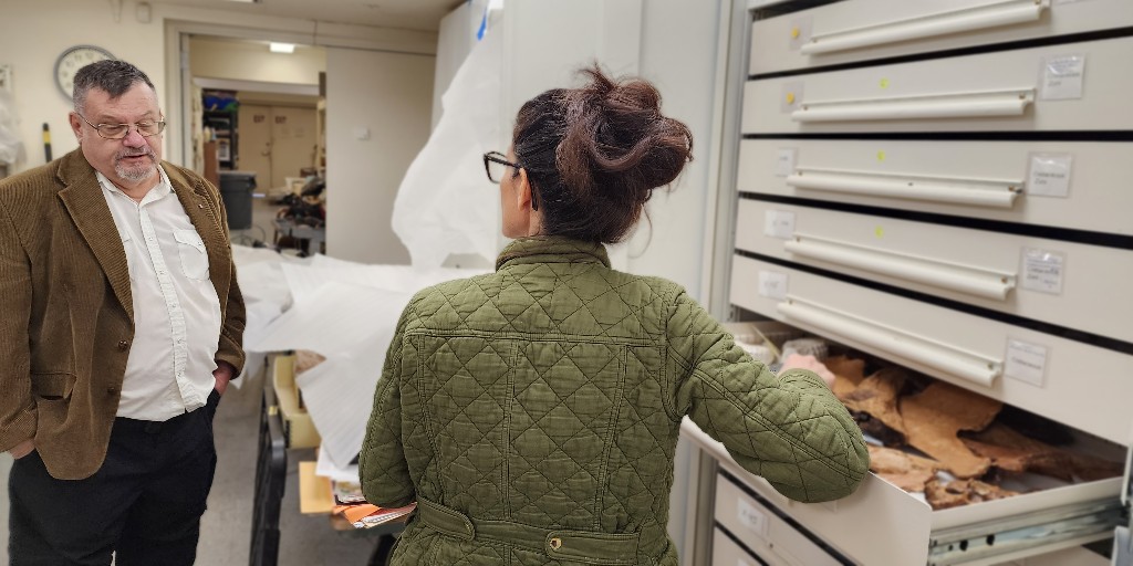 AZ Museum of Natural History tweet media