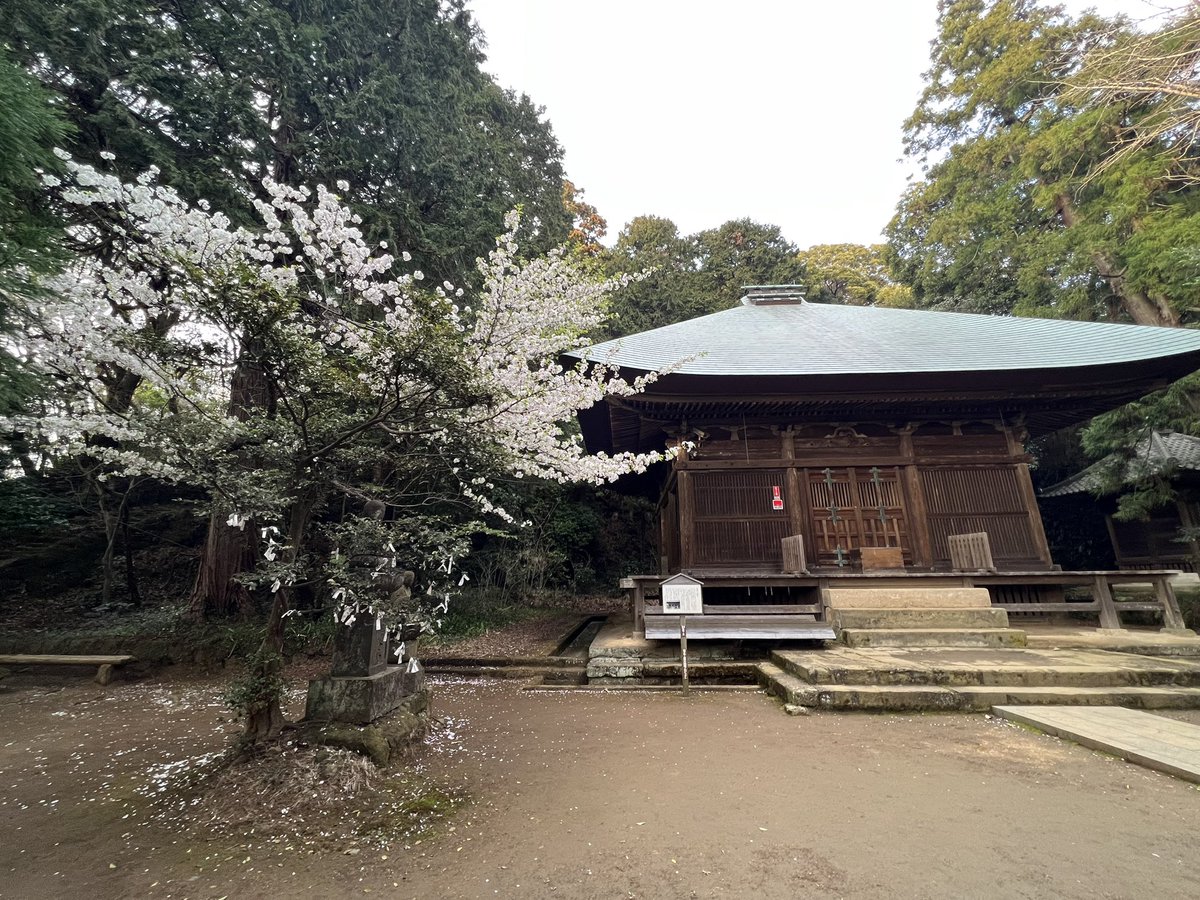 追浜に住んでた頃のゴールデン朝ランコース。「浜見台⇄神武寺ピストン」
鷹取山から眺める景色と神武寺の境内で味わう厳かな空気がとても好きでした。
四季の移ろいを全身で感じられる町で暮らしたい…(切実)