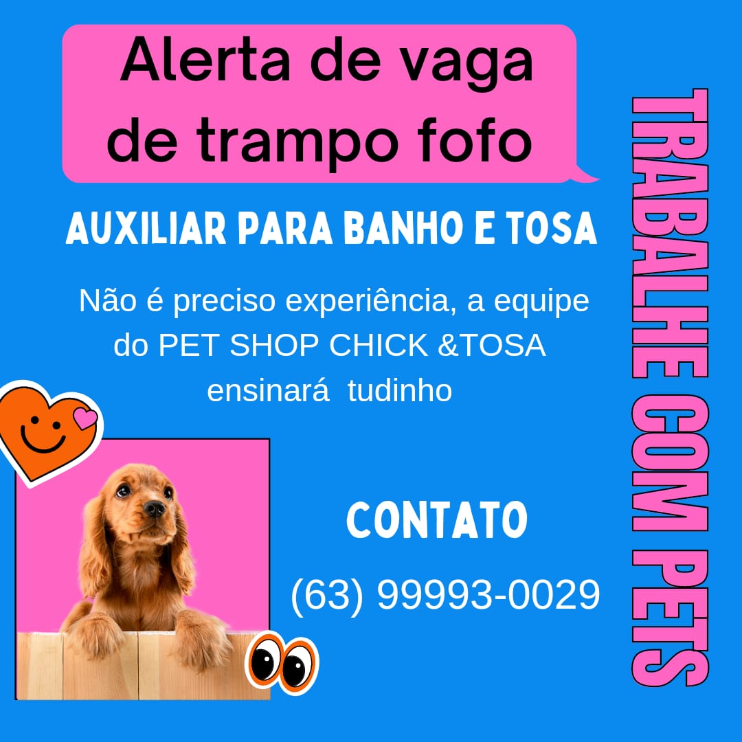 SomosTocantins's tweet image. Sabe de alguém que tá precisando de emprego??? Já marca aqui nos comentários!

#trampo #Emprego #vagadetrabalho