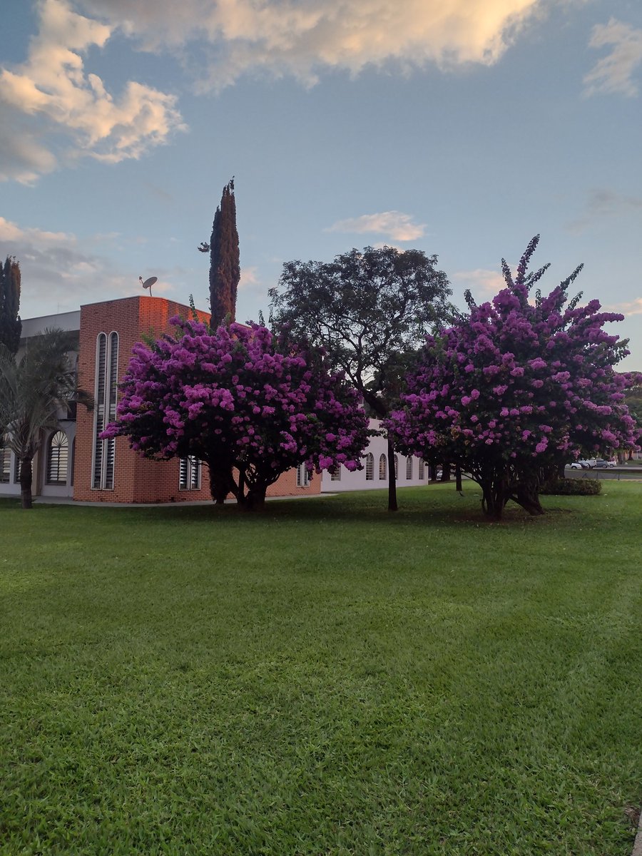 edergomesofc's tweet photo. Direto do Colégio @unaspht em Hortolândia! 💙 #outono #nossacidade #hortocity #hortolandia #sp #unasp #fimdetarde  #olhaissoeptv https://t.co/WLcNnT41s6
