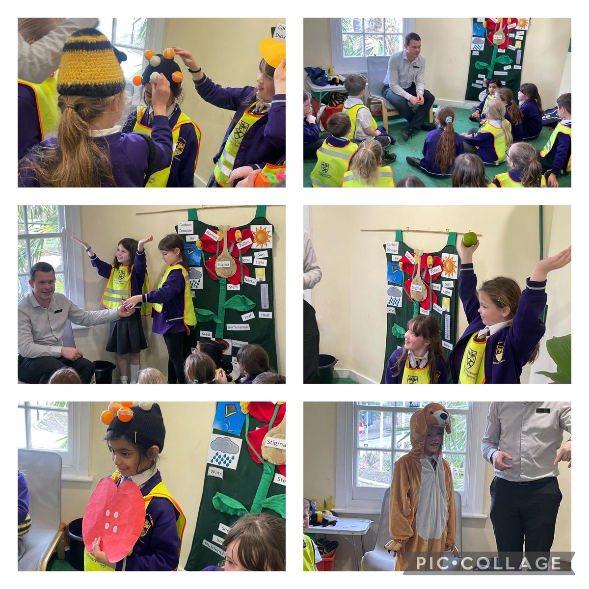 StAlbans_Sch's tweet image. Year 3 had a great day at @BhamBotanicalGd ! We loved the glasshouses, the playground and our session with James. Thank you for teaching us all about the purpose of flowers in plants and seed dispersal 🌺 🍃🌿🌱💚🪴#Science #MissD