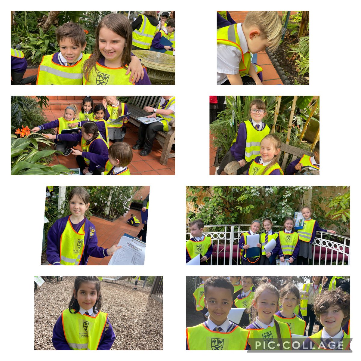 StAlbans_Sch's tweet image. Year 3 had a great day at @BhamBotanicalGd ! We loved the glasshouses, the playground and our session with James. Thank you for teaching us all about the purpose of flowers in plants and seed dispersal 🌺 🍃🌿🌱💚🪴#Science #MissD