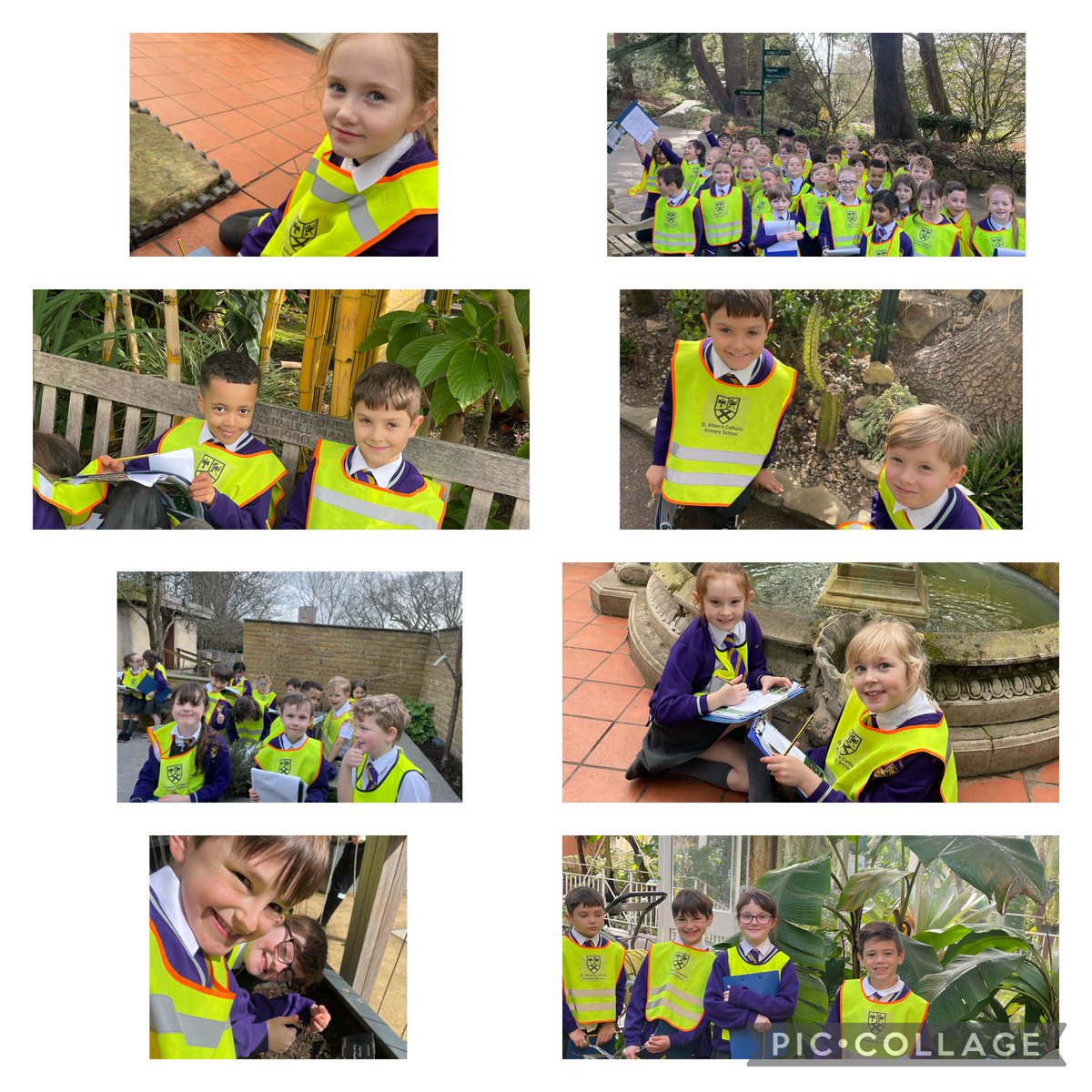 StAlbans_Sch's tweet image. Year 3 had a great day at @BhamBotanicalGd ! We loved the glasshouses, the playground and our session with James. Thank you for teaching us all about the purpose of flowers in plants and seed dispersal 🌺 🍃🌿🌱💚🪴#Science #MissD