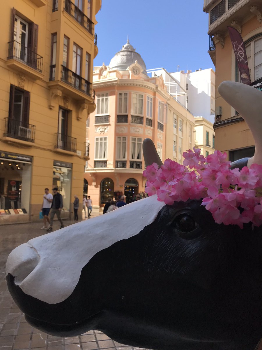 YourNFT's tweet photo. And home… into the cold cold rain !!!

But I can’t complain. 
Lunch in Malaga Spain and dinner in Scotland at home. 

I’m very lucky. 💗 https://t.co/YaZ5T7F6zZ