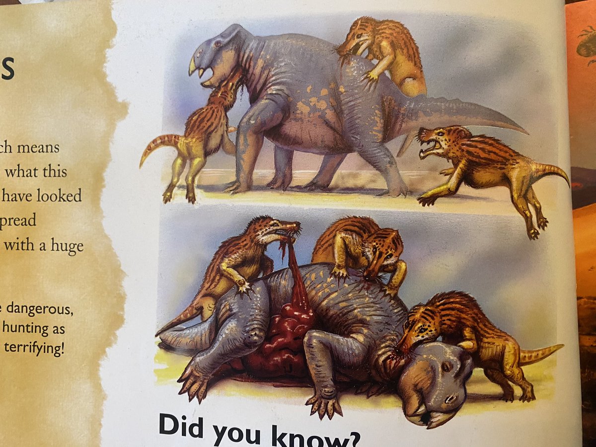 KiraCakeNFT's tweet photo. @GWPnft Had a great time reading my kindergartener his new library book last night 🦖 Sparked an in-depth discussion about predators / carnivores that he won’t soon forget 😅😂 #publicschool #wtf #carnage https://t.co/R1DRVsw0EG