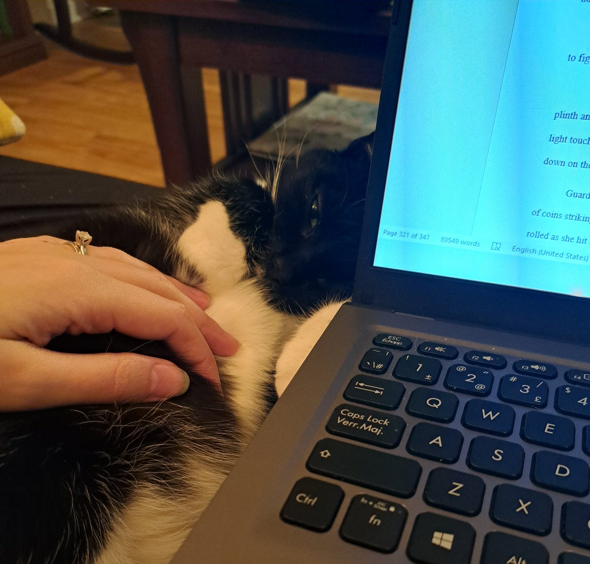 CW: death of a pet

Got these prints in the mail today. It's been a couple of weeks without my sweet girl - not easy, but I feel nothing but thankful for the many years we had together and this perfect memento ❤️