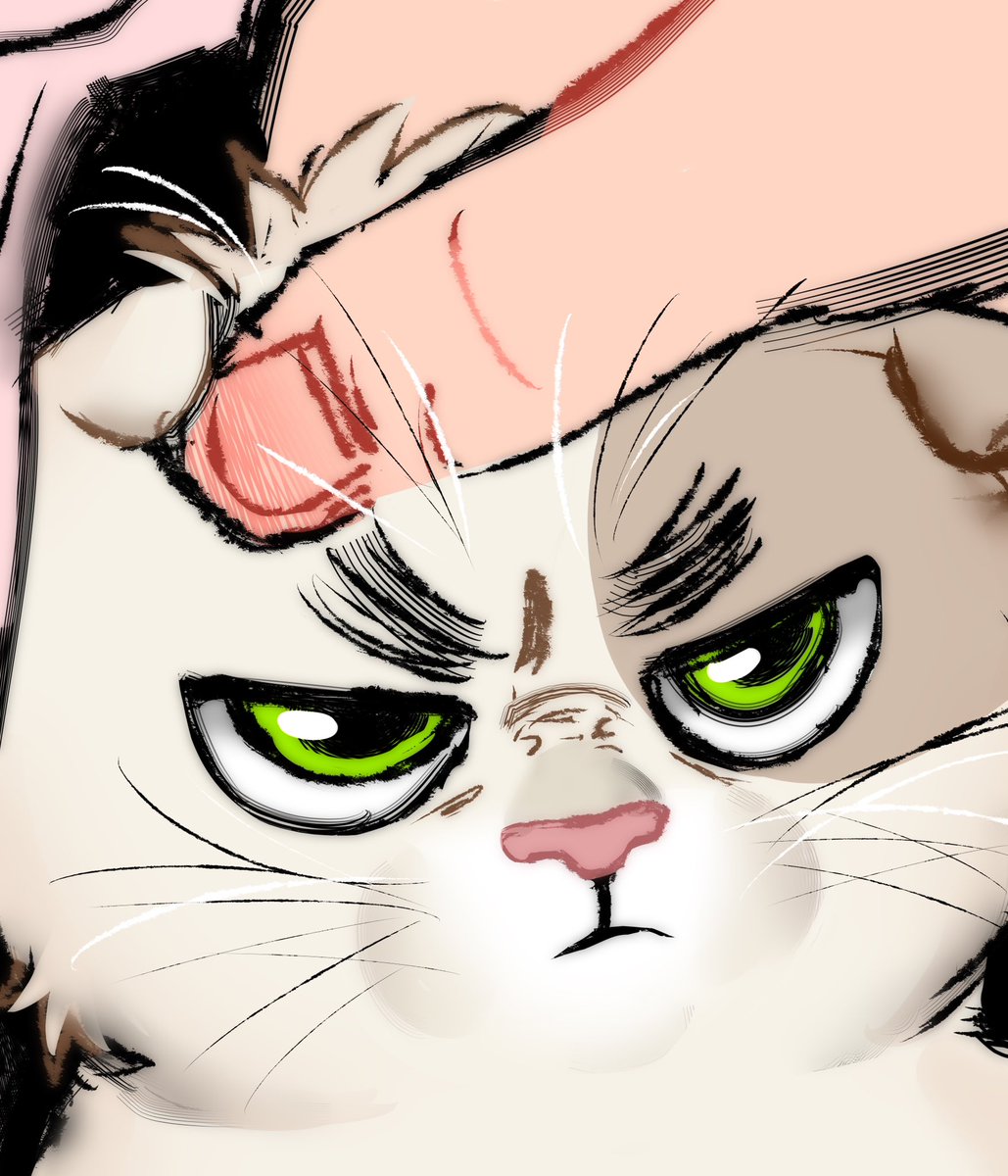 Idc8whatever's tweet photo. 眉喵：😠 https://t.co/huwpJf0rR6