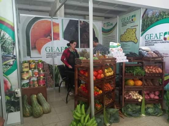 LaoIndira's tweet photo. #Mayabeque promueve cartera de oportunidades en Foro de Negocios a propósito de #FIAGROP2023 en la capital del país. #GEAFMayabeque https://t.co/R1TpYGz9Kz