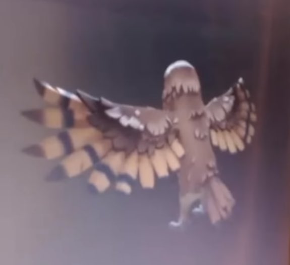 NickaholicG's tweet photo. That's cool and all, but they're adding owls to Sea of Thieves https://t.co/lieFpA00u1