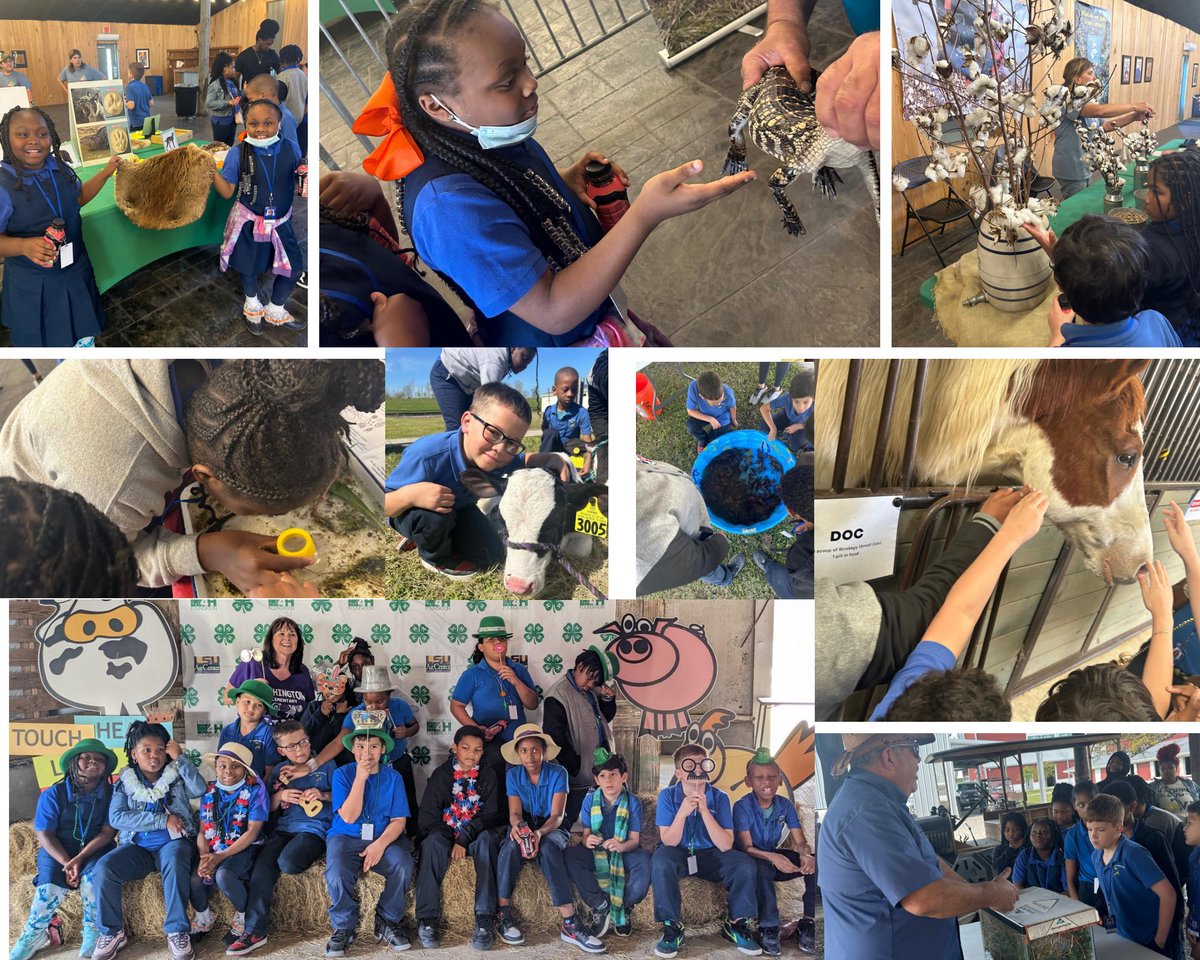 STEM_WASHINGTON's tweet photo. Third grade students had an interactive journey through Louisiana Agriculture at Ag Magic. #Louisiana4H #LSUAGCenter https://t.co/Ia2A2IWyPd