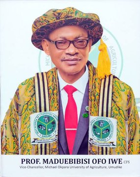 IkukuomaC's tweet photo. A tale of 2 professors that were given the opportunity to write their name in GOLD and create history for the people.

Prof. Nnenna choose to do the RIGHT thing before God and man but Prof. Maduebisisi choose to SELL OUT and deny Enugu people their mandate https://t.co/2p2SodCeks