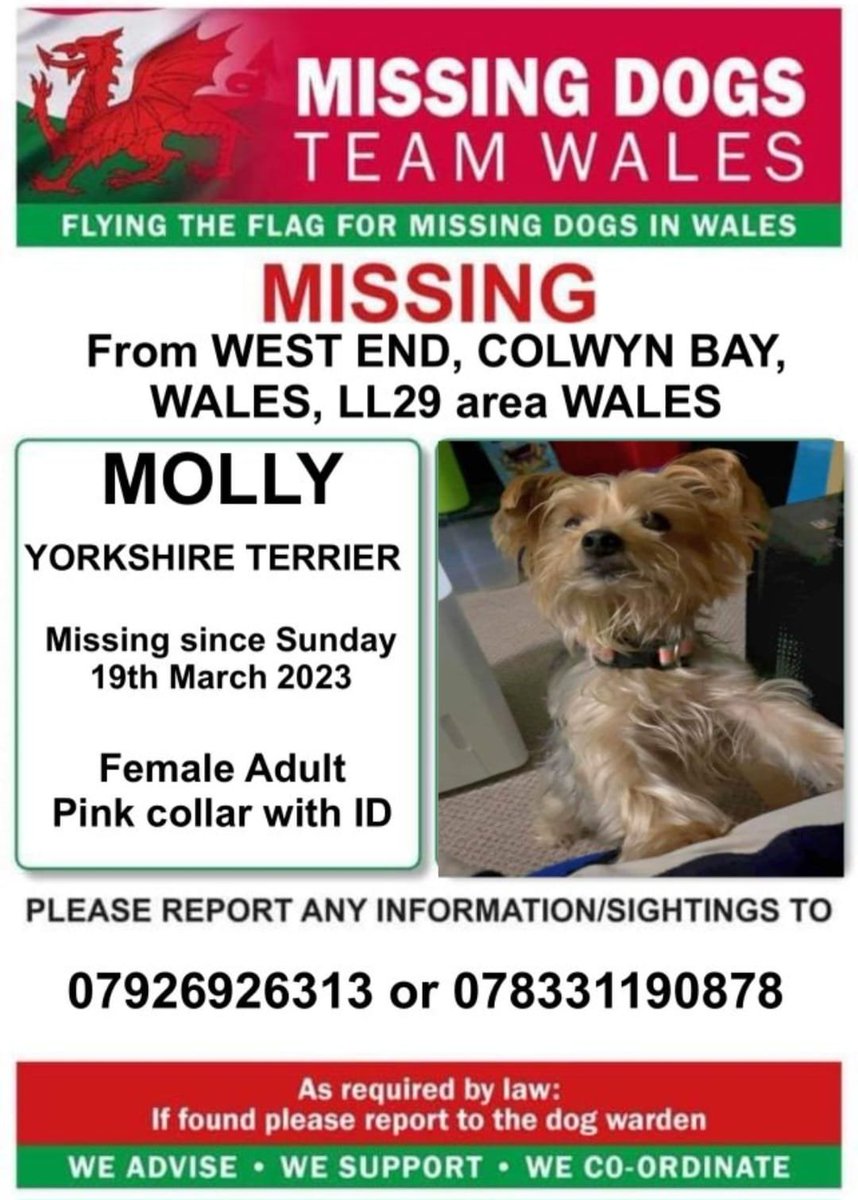 #MissingDog, #ColwynBay, #LL29