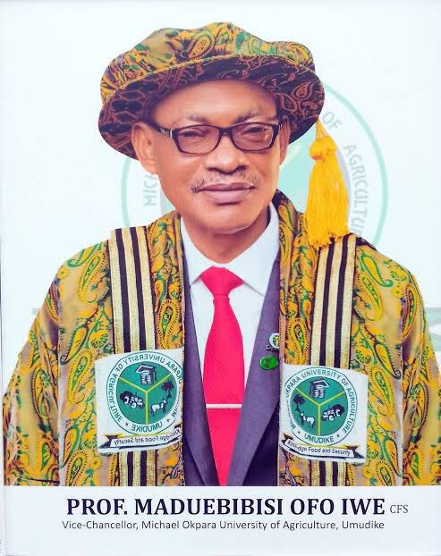 Anambra 1st son tweet media