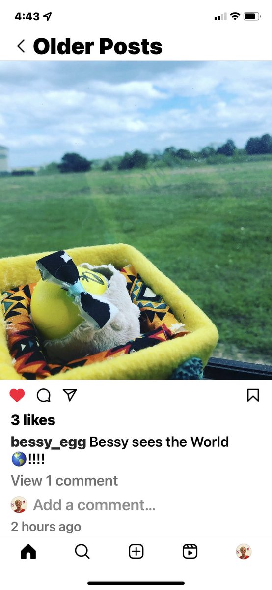 kay_mhs's tweet photo. These kids are crushing this egg baby project. https://t.co/HJ1sVnNHsw