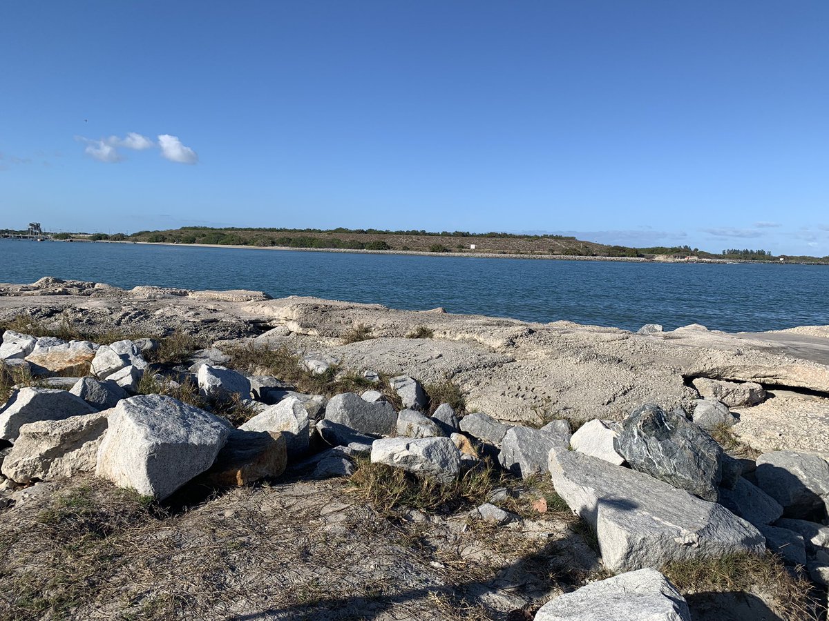 estherbower_tv's tweet image. We’re back on #MissionControl tonight @fox35orlando! @relativityspace is going to try + launch a 3D printed rocket to space. It’s been scrubbed the last two times bc of technical issues. The weather is gorgeous at Jetty Park, and there’s still a ton of open space to watch 🚀☀️