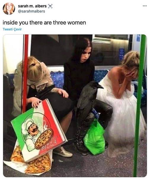 queennoise's tweet photo. Nah, i'll be the raven; who else would want to sit on the lap of the depressed goth girl... https://t.co/yJPPCxn7YX