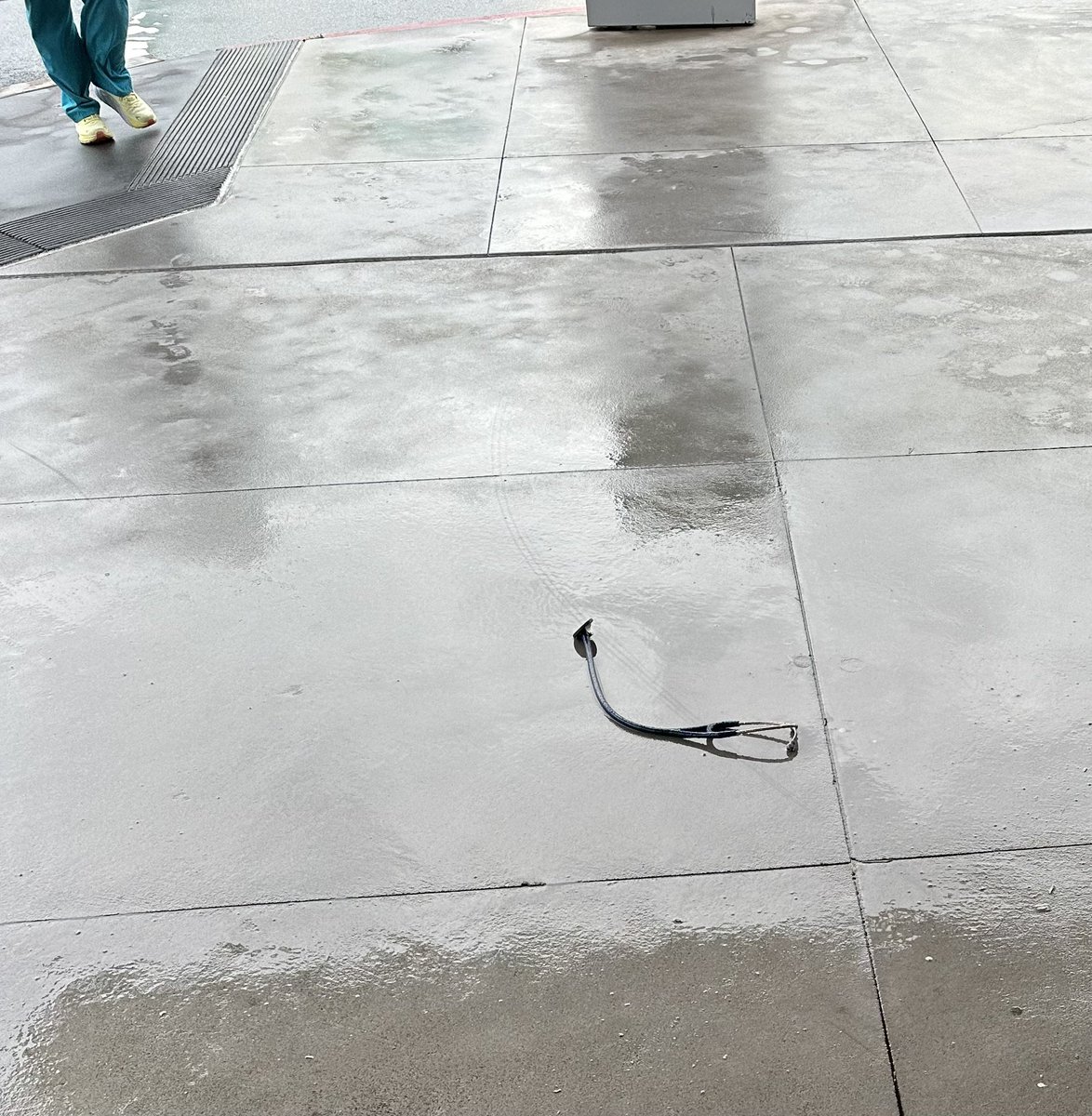 David Loftesness tweet media