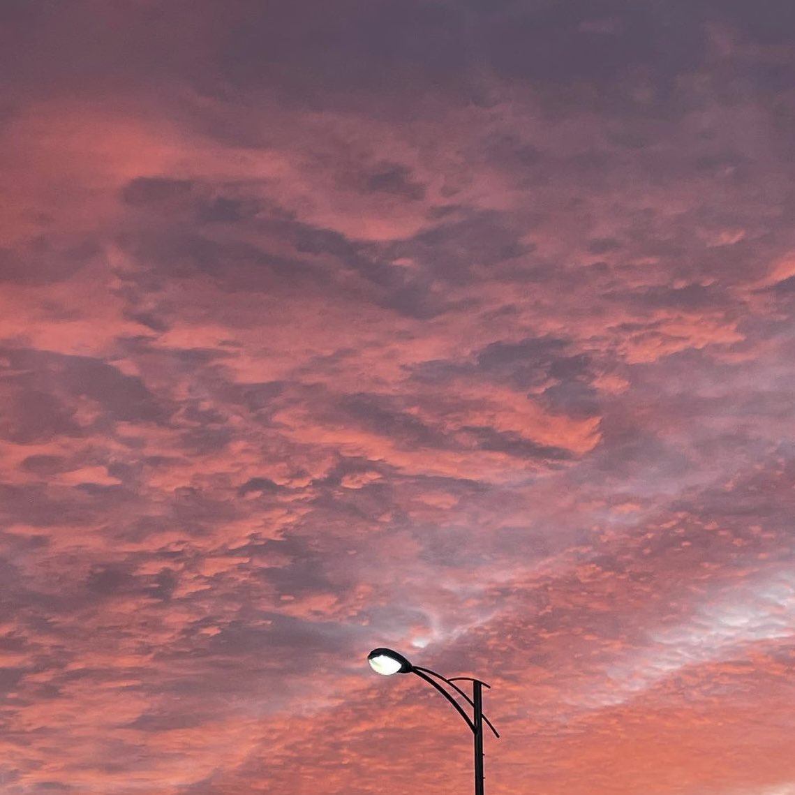 애널 벌렁벌렁 하다가 벌어졌을때
플러그 쑥 들어와 벅차는 느낌은 언제나 짜릿해요
#섹트 #펨섭 #펫 #디그 #마조 #애널