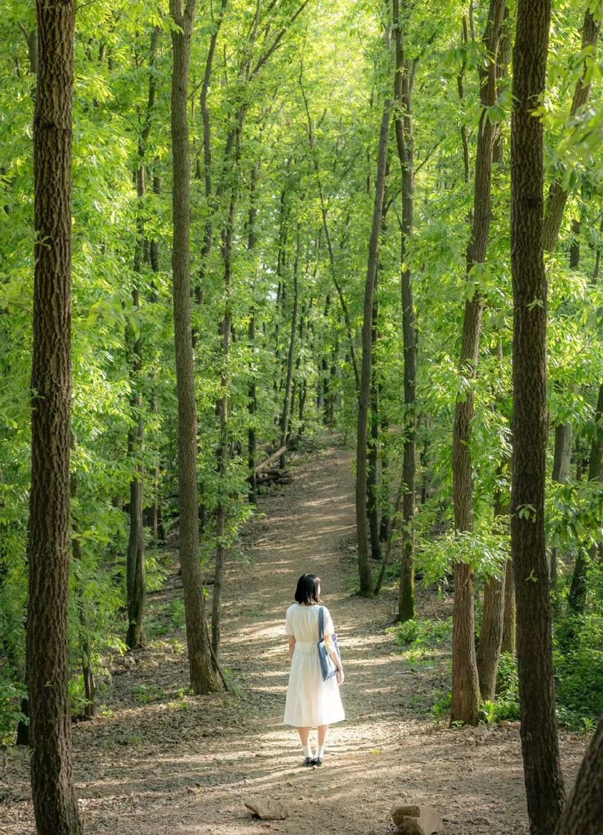 Let’s stroll into the Wizard of Oz at Jiuzhen Mountain; the sun shines through the trees and the paths are dotted with light as if paved with a layer of brilliant diamonds. This is the land of treasures in Wuhan.
#springfeeling #hanscenery #welcometowuhan #attractivewuhan
