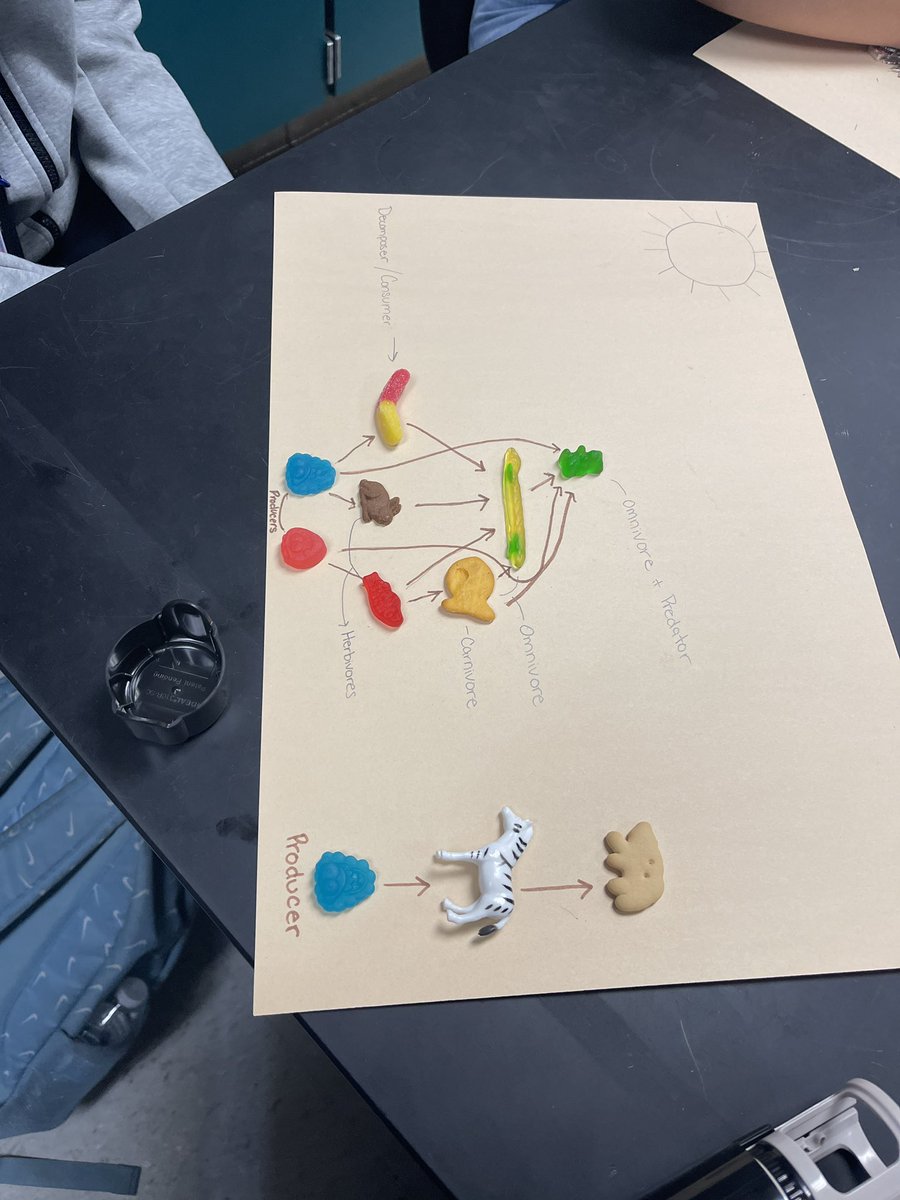 SouthernGirlAOK's tweet photo. How do you explore energy transfer in a food web, make it edible of course! 7th grade created their own food webs with various goodies and a few friends… @MrsJackSciHacks @Humble_2ndSci #foodwebs #energypyramid https://t.co/0TRZLaREMV