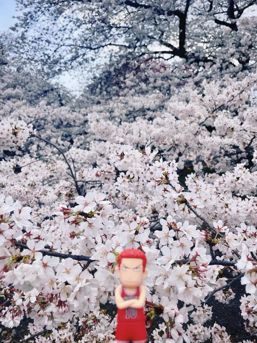 春だ〜 