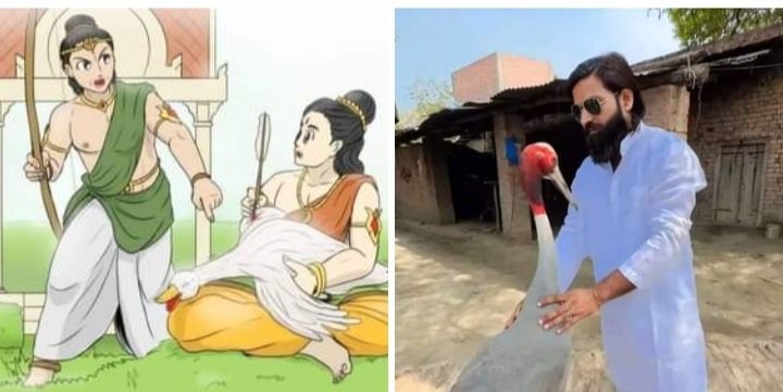 देवदत्त और सिद्धार्थ कि कहानी में निर्णय आया था कि मारने वाले से ज्यादा बचाने वाले का अधिकार होता है! अतः हंस पर सिद्धार्थ का अधिकार है.
वर्तमान में आरिफ ने एक सारस को बचाया ,सारस आरिफ का दोस्त बन गया,बाद में वन विभाग सारस को अपने साथ ले गई।
अब फिर सवाल - सारस किसका ?