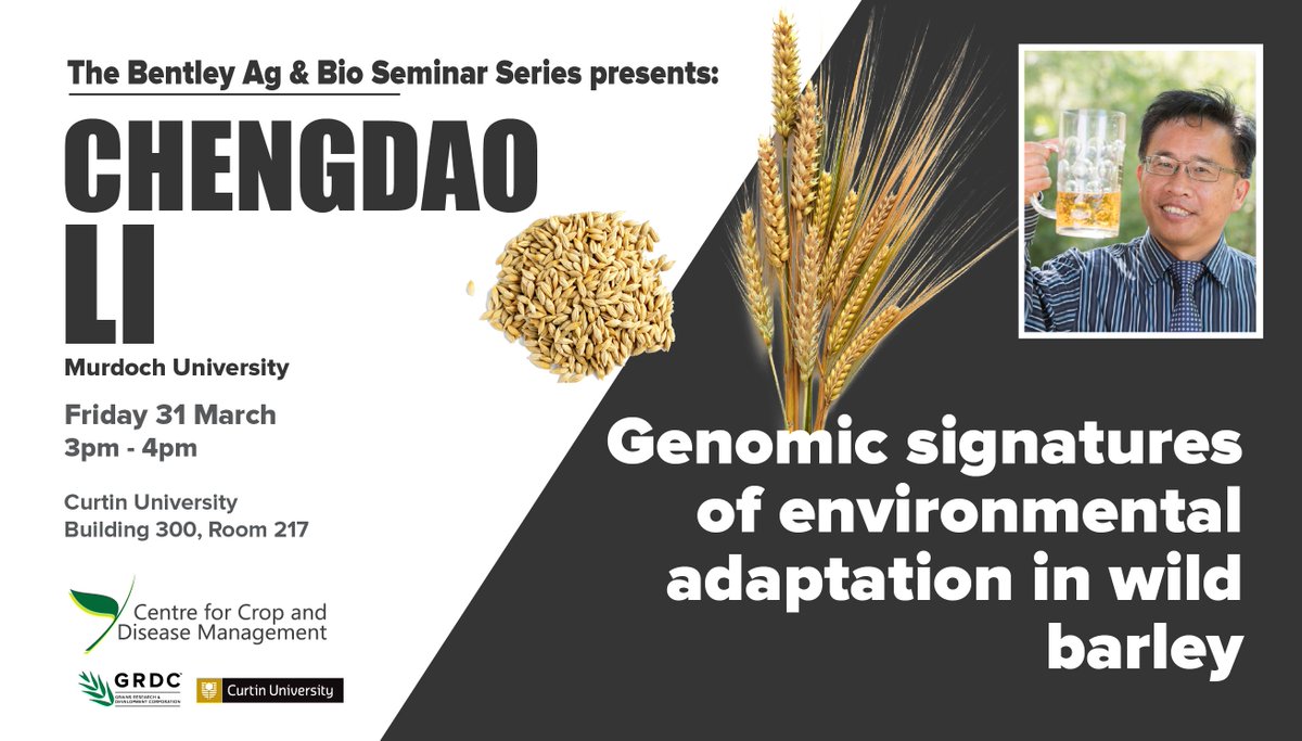 j_mylne's tweet photo. At @theCCDM we're strengthening, widening and opening our seminar series #BABSS. If you're on Bentley campus @CurtinUni Friday 31 March, come see Chengdao Li @MurdochUni talk about wild barley genomics 🗣️📢👂🤔 https://t.co/8C1M4mqzfx