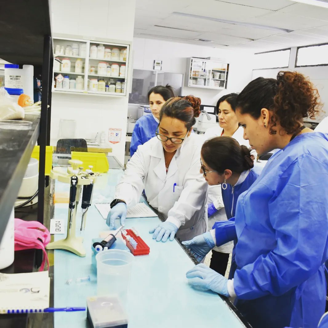 bioyunita's tweet photo. Molecular identification of illegal wildlife trade by using portable sequencing techniques (MinION)”
@inst_humboldt #WCS #OxfordNanopore #workshop #Colombia #DAGMA #CVC #CIAT https://t.co/9IM6RCYkSs