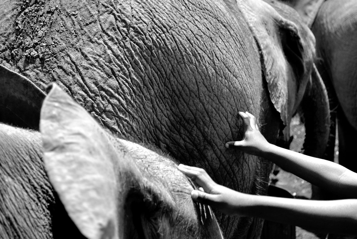 #Conservation requires more holistic approaches to be successful. We must think of the institutional, ecological &amp; developmental conditions. We must understand that the links between #biodiversity &amp; livelihoods &amp; between conservation &amp; #ClimateAction are both dynamic and local.