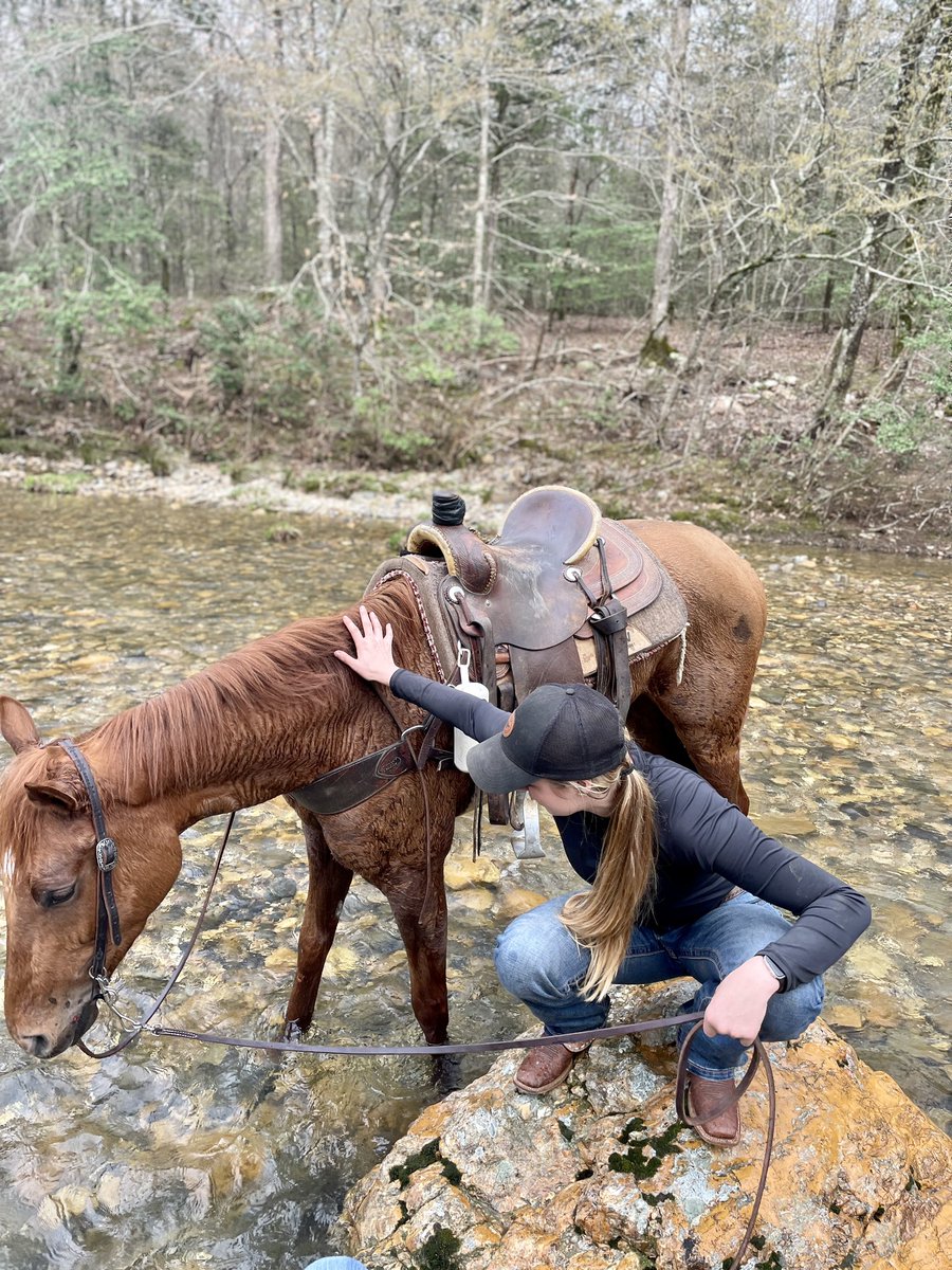 TaelynJordan's tweet photo. Hard to believe this thing went from a racehorse, to a pony, and then to a trail horse in less than a meet. They say don’t fall in love, but I think this one got me 🥰 https://t.co/Lbj1WUWUma