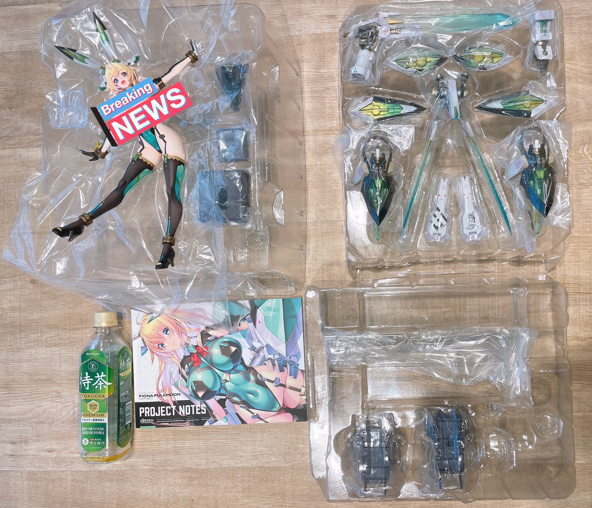 ヴェルテクスオリジナルズ オービットガールズ フィオナフルムーン 限定版 Amazon | ヴェルテクス・オリジナルズ オービットガールズ ENTRY