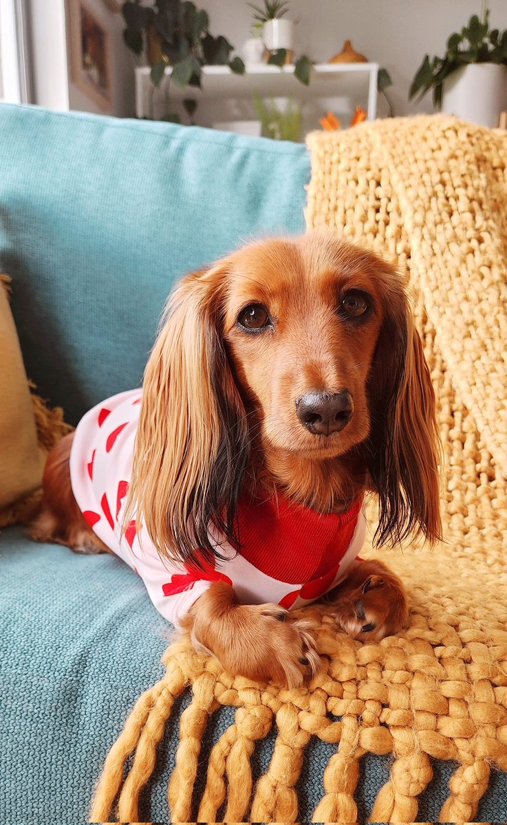 Been posting lots of work stuff on here recently and would just like to remind the world who I work so hard for 🥹🥹🥹