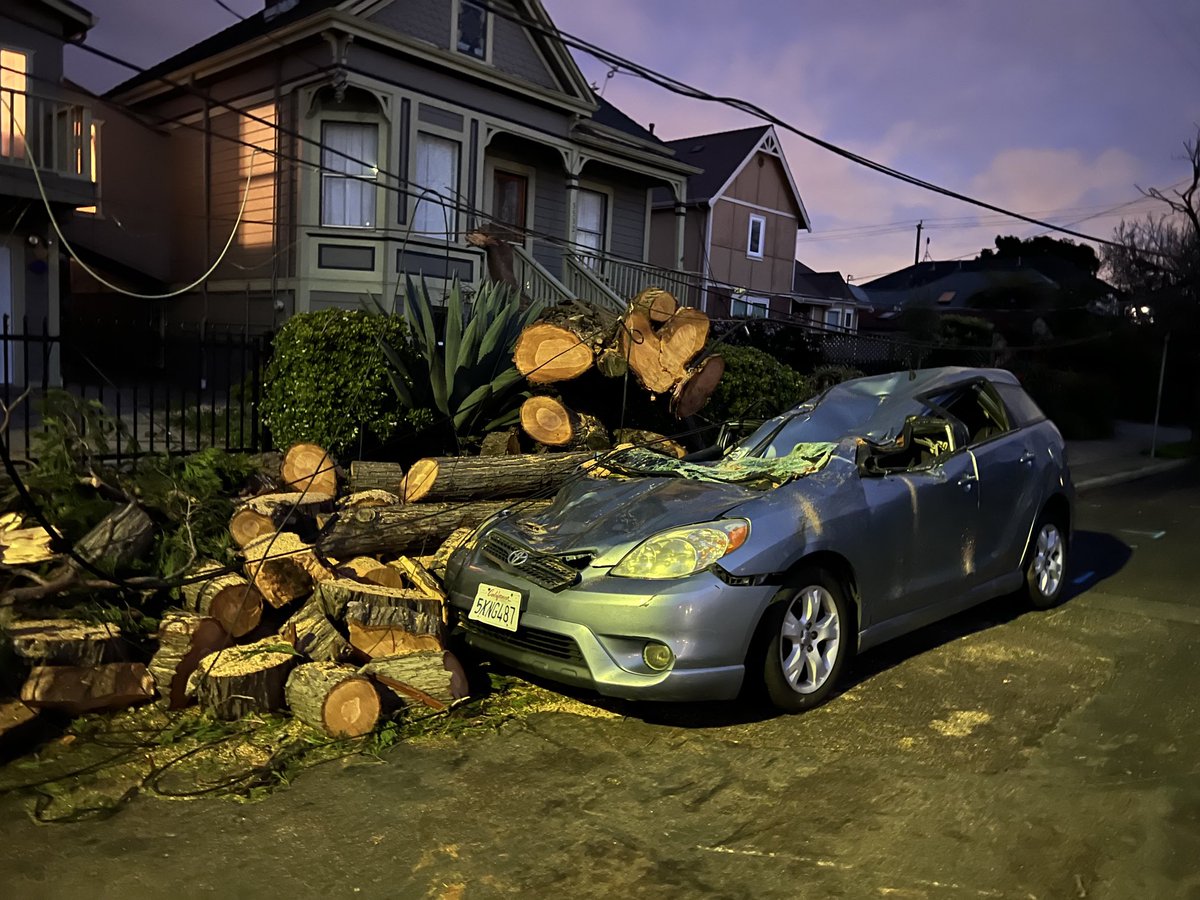 Sad aftermath of yesterday’s bomb cyclone. This redwood tree once towered over the neighborhood.