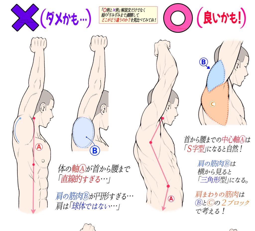 【吉村拓也のFANBOX講座】は
『イラスト講座の図書館📚』です🔻
https://t.co/UKiQpTPtxd

全投稿が閲覧できる
『月額500円プランの人がほぼ9割』‼️

①✨毎月の新作講座✨も見れる📔

②500枚超の講座を全てまとめた
【描き方アーカイブ】が模写練習に最適✏️✨✨

🔥初心者の人ほど上達スピードUP🔥 